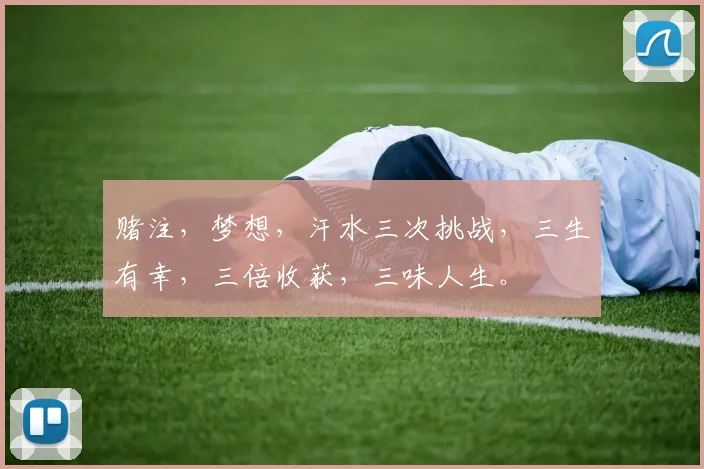 赌注，梦想，汗水三次挑战，三生有幸，三倍收获，三味人生。
